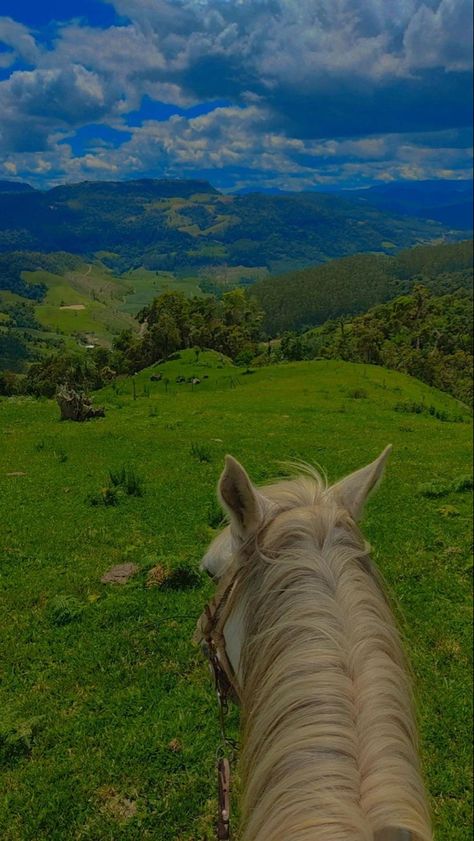 Sunrise Photography Beach, Horse Background, Horse Riding Aesthetic, Equestrian Aesthetic, Cute Horse Pictures, Horse Wallpaper, Travel Pictures Poses, Horse Aesthetic, Cute Horses