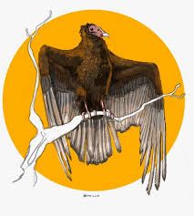 Turkey Vulture Illustration, Turkey Vulture Drawing, Turkey Vulture Art, Vulture Artwork, Turkey Vulture Tattoo, Vulture Tattoo Design, Vulture Aesthetic, Traditional Vulture Tattoo, Vulture Drawing