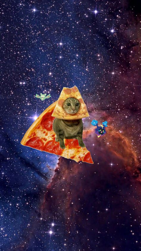 Weird Screensavers, Cat Space Wallpaper, Silly Wallpapers Iphone, Cat Pc Wallpaper, Silly Cat Wallpaper, Ugly Wallpaper, Silly Wallpapers, Cat Flying, Wallpaper Gatos