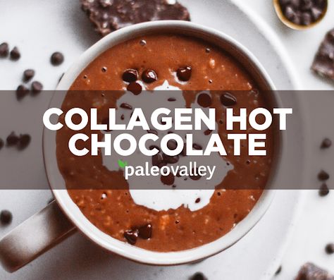 Paleovalley | Collagen Hot Chocolate Recipe Paleo Coffee Creamer, Healthy Hot Chocolate, Collagen Recipes, Bone Broth Recipe, Hot Chocolate Recipe, Protein Powder Recipes, Hot Coco, Broth Recipes, Sweet Treats Recipes