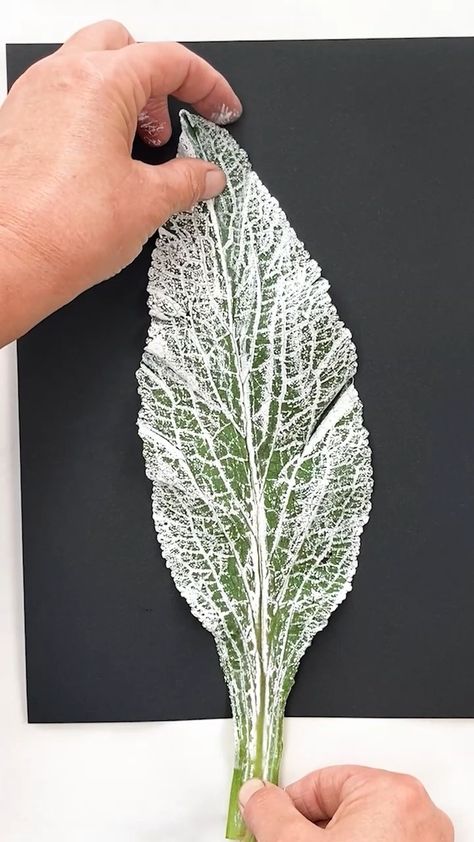 Impressions of Nature | Its time I shared a lovely large leaf...on Black.... I find these so striking, they are my second favourite after the comfrey leaf I think,… | Instagram Gum Leaf Art, Botanical Wall Art Diy, Leaf Print Art, Contemporary Botanical Art, Contemporary Printmaking, Leaf Printing, Herb Prints, Gelli Printing Art, Leaf Projects