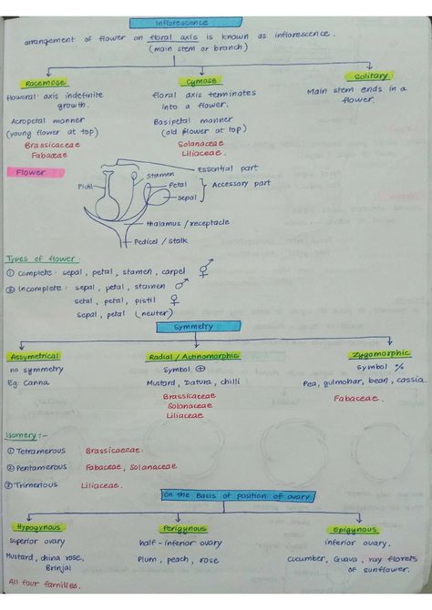 Morphology Of Flowering Plants Notes, Morphology Of Flowering Plants, Plant Morphology, Branches Of Biology, Neet Notes, Redox Reactions, Plant Notes, Learning Stories, Short Notes