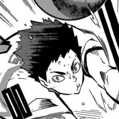 Iwaizumi Hajime Icon Manga, Iwaizumi Manga, Haikyuu Icons, Iwaizumi Hajime, Ushijima Wakatoshi, Gothic Anime, Haikyuu Manga, Haikyuu Characters, Anime Profile