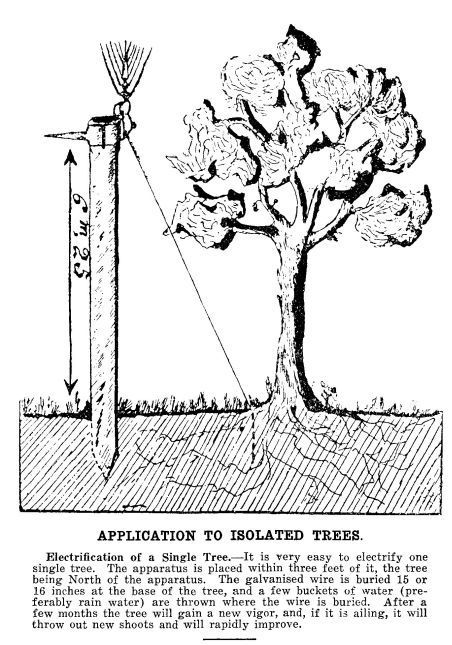 ElectroCulture -- stimulation of plant growth by electricity, magnetism, sound Electro Culture Farming, Electro Horticulture, Electromagnetic Gardening, Electroculture Gardening Antennas, Electro Culture Antenna, Electro Culture Gardening, Electroculture Diy, Electro Gardening, Electroculture Antenna