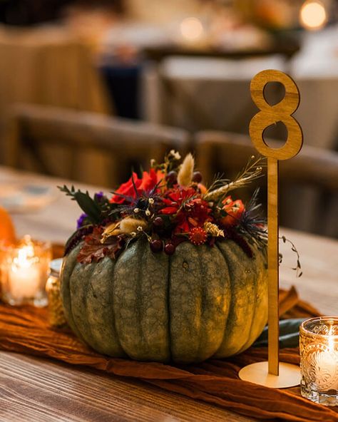 Danielle and Zach are featured on the blog this week! They wanted to feature all their favorite things on their wedding day: Agriculture - Corn, Soybeans and Tractors ✔️ University of Illinois 🧡 💙 ✔️ Midwest Fall Harvest ✔️ Family, Faith and Friends ✔️ This was a fun wedding to design last fall because their favorites also happen to be my favorites! Congratulations Dani and Zach! Photos by @nowandthensisters at @havenonthefarm Pumpkins from @thepumpkinplacepville @christorchard @dani_... Wedding With Pumpkins Decorating Ideas, Pumpkin Wedding Centerpieces, Wedding Farmhouse Table, Fall Harvest Wedding, Pumpkin Wedding Decorations, Pumpkin Centerpieces Wedding, Midwest Fall, Greenery Runner, Harvest Wedding