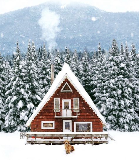 Small House Pictures, Snow House, Winter Cabin, A Frame Cabin, Terraria, Tiny House Movement, A Cabin, A Frame House, Winter Scenery