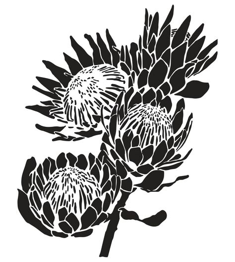 Fynbos Drawing, Fynbos Paintings, Protea Linocut, Fynbos Illustration, Protea Stencil, Protea Flower Tattoo, Protea Illustration, Protea Tattoo, Protea Pattern