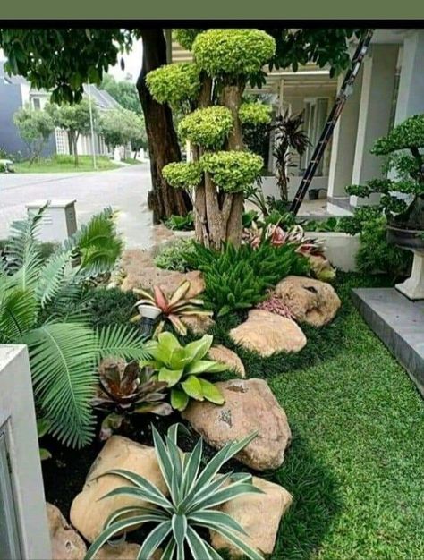 Garden With Rocks, Design Taman, Taman Outdoor, Minimalist Landscaping, Tropical Backyard Landscaping, Vertikal Garden, Small Garden Landscape, Tropical Garden Design, Tropical Backyard