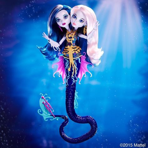 Amazon.com: New Monster High Great Scarrier Reef - Peri & Pearl Doll 2015: Toys & Games Great Scarrier Reef, Monster High School, Ever After Dolls, Mermaid Pictures, Anime Monsters, Love Monster, Monster High Repaint, Monster High Characters, Monster Dolls