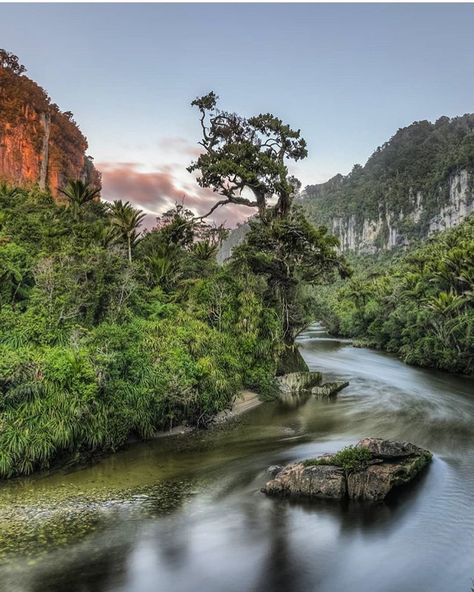 Tag NZ pics to #kiwipics on Instagram: “Stunning landscape in Paparoa National Park - 📸✨@my_world_in_hdr✨” Paparoa National Park, Contemporary Landscapes, Beautiful Places On Earth, Landscape Pictures, Contemporary Landscape, Most Beautiful Places, Creative Projects, National Park, New Zealand