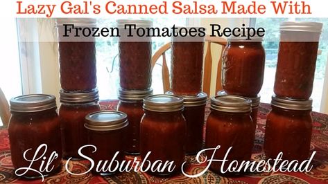 Salsa From Frozen Tomatoes, Frozen Tomatoes, Viking Love, Canned Salsa, Traditional Homemaking, Canned Salsa Recipes, Ninja Food Processor, Freezing Tomatoes, Canning Salsa