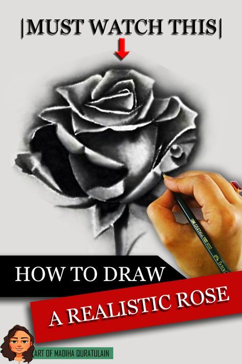 Realistic Rose Drawing Step By Step, Drawing Roses Pencil Sketch, Rose Step By Step Drawing, Colored Pencil Rose, Realistic Rose Drawing Pencil, How To Draw A Realistic Rose, Roses Sketch Drawing, Rose Pictures Drawing, Rose Sketch Realistic