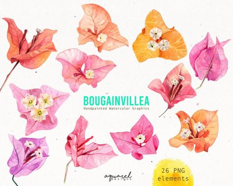 Bougainvillea Drawing, Bougainvillea Watercolor, Tattoo Ship, Watercolor Autumn Leaves, Purple Yellow Orange, Blog Website Design, Rustic Wedding Invitations, Mexican Flowers, Hand Drawn Floral