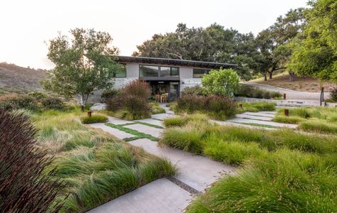 California Dreaming: A Golden Landscape on the Edge of the Continent - Gardenista Landscape Ideas Front Yard Curb Appeal, Thymus Serpyllum, California Wildflowers, Design Backyard, Low Water Gardening, Modern Landscape Design, Landscape Edging, Butterfly House, Landscape Design Plans