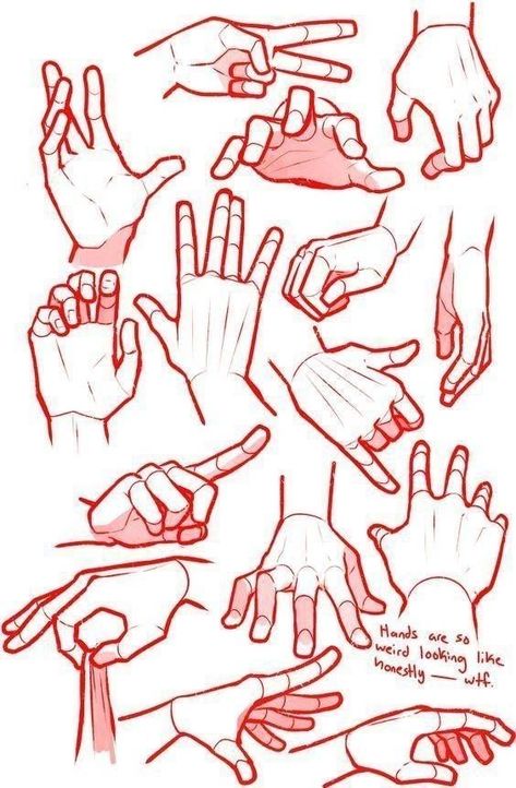 Hand Drawing Tutorial, Posture Drawing, Proportion Art, Drawing Body Proportions, Drawing Proportions, Draw Anatomy, Human Figure Sketches, Anatomy Practice, Hand Doodles