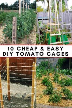 Tomato cages help tomato plants grow healthier and produce more fruit by keeping them off the ground. Tomato cages provide great support, but can get pricey to buy. Learn how to make your own with these 10 ideas. via @youshouldgrow Tanaman Tomat, Small Garden Plans, Taman Diy, Tomato Trellis, Growing Tomatoes In Containers, Vertical Vegetable Garden, Tomato Cages, Organic Tomatoes, Veg Garden