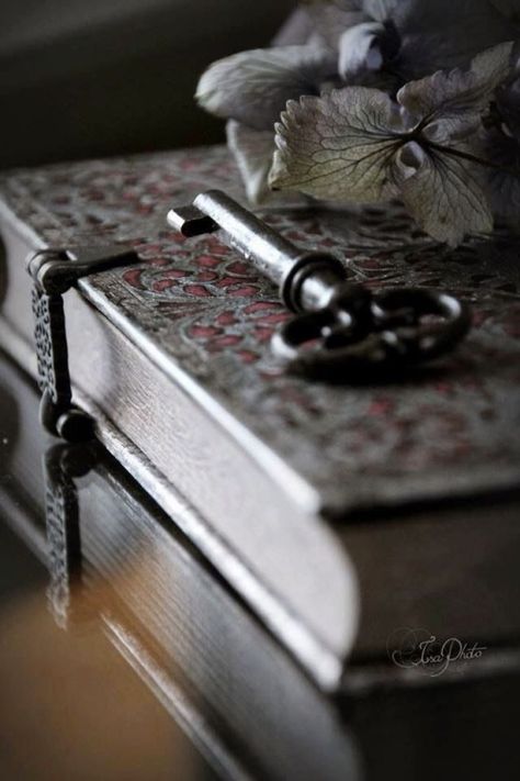 kendrasmiles4u:  kendrasmiles4u Locked Journal, Under Lock And Key, Old Keys, Secret Diary, Antique Keys, Book Writing, Vintage Keys, Key To My Heart, Key Lock