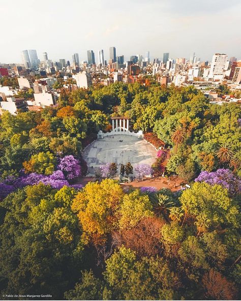 I 🖤 D.F. on Instagram: “@mexicocityofficial desde la colonia condesa nuestro amigo @jesusmanjarrezg nos regala esta postal aérea del Parque México #banditachilanga…” Coworking Design, México City, D F, Tumblr Wallpaper, Favorite City, Beautiful Places, Water, Travel, On Instagram