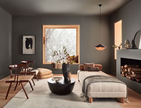 Bronze Living Room, Bronze Bedroom, Mid Century Modern Eclectic, Urbane Bronze, Timeless Paint Colors, Urban Bronze, Brown Paint Colors, Home Paint Color, Best Interior Paint