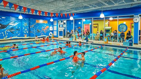 GoldFish Swim School is teaching more than 1 million kids to swim ensuring all kids have the skills to be safe in the water. Family Swimming, Small Business Trends, Swimming Classes, Swim School, Water Safety, Swimming Bag, Swim Team, Swim Lessons, All Kids