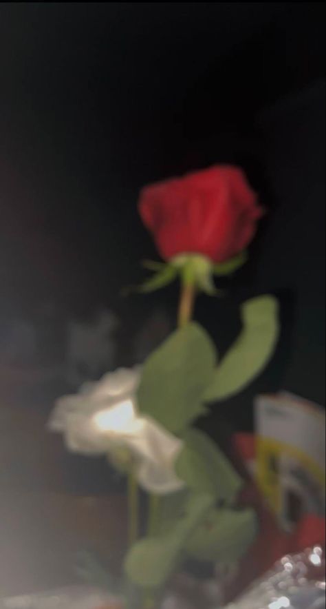 Rose Day Real Pic, Hand With Flower Photography, First Flowers From Boyfriend, Single Red Rose Aesthetic, Roses Pictures Instagram, Rose Day Snapchat, Rose Asthetic Picture, Rose In Hand Snapchat, Rose Snaps Snapchat