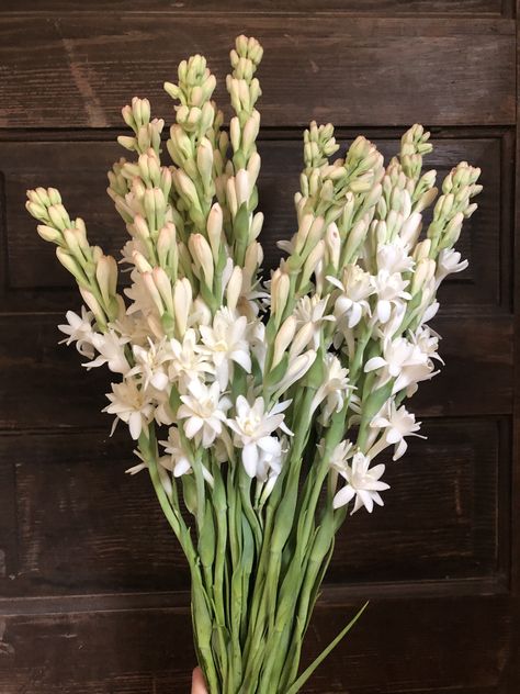 Optical Illusion Wallpaper, Gladiolus Flower, Creative Wedding Gifts, Herbal Plants, Bridal Bouquet Flowers, Traditional Wedding Decor, Flower Bucket, Hand Bouquet, Wedding Flower Decorations