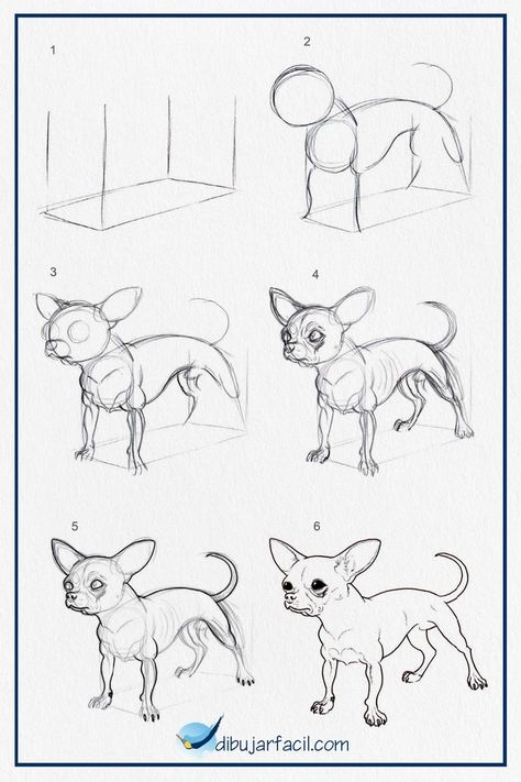 ¿Quieres aprender a dibujar un chihuahua? Dibujar un chihuahua puede ser fácil si sigues estos sencillos pasos Chihuahua Drawing, Chihuahua Art, Color Drawing Art, Horse Coloring Pages, Cute Doodle Art, Dog Holiday, Horse Coloring, Dog Drawing, Tattoo Design Drawings