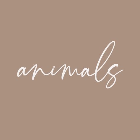 Animals Instagram Highlight Cover, Board Widget, Widget Covers, Emotional Support Animal, Social Icons, Highlight Cover, Instagram Highlights, Emotional Support, Instagram Aesthetic