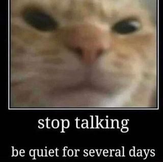 be quiet for several days Response Memes, Be Quiet, Silly Cats Pictures, Wholesome Memes, Cute Memes, Stop Talking, Silly Cats, What’s Going On, Funny Laugh