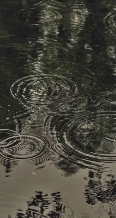 Water Aesthetic, Cute Blue Wallpaper, Rain Photography, Black And White Portraits, Aesthetic Images, Green Aesthetic, Community Wall, Wall Photos, Black And White Photography