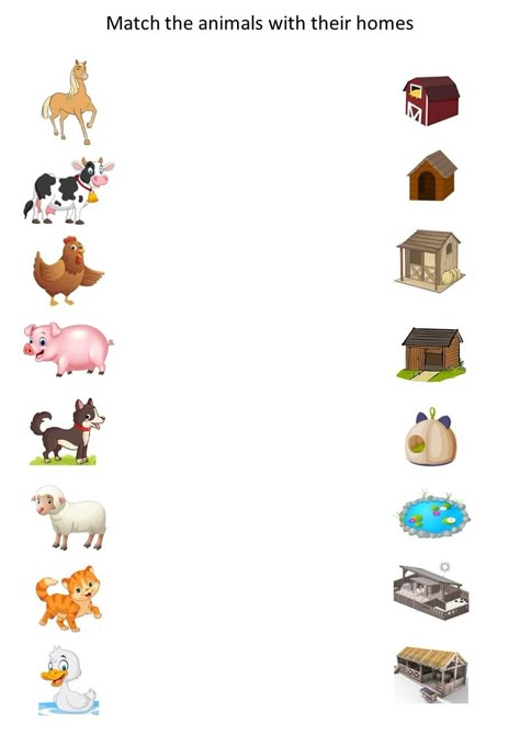 The animals with their homes match Domestic Animals And Their Homes, Domestic Animals Activities, Domestic Animals Worksheets For Kids, Animals And Their Homes Worksheets, Animals House Preschool, Domestic Animals Worksheets, Easy Learning Activities, Coloring Worksheets For Kindergarten, Animals And Their Homes