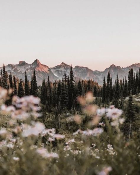 Just Pinned to Landscapes:   http://bit.ly/2Es9MGn Era Victoria, Mountains Aesthetic, Wallpaper Macbook, Belle Nature, Les Continents, Nature Aesthetic, Pretty Places, Atlantis, Bergen