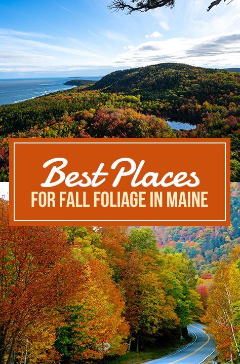 The best time to see fall foliage in Maine is between the last week of September and the beginning of October, when the leaves start to change their colors. It progresses from North to South, so the coastal and southern parts get their foliage a little bit later, mid-to-end of October. We’ve collected the very best places for foliage in Maine for you to enjoy this marvel of nature fully. Maine In The Fall Road Trips, Trip To Maine In The Fall, Fall Trip To Maine, Visiting Maine In The Fall, Maine In September Outfits, Portland Maine In October, Portland Maine October, Maine Fall Foliage Road Trips, Fall Foliage New England