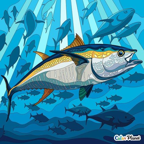 Underwater 2d Design, Fish 2d Design, Cubicle Wall, Mardi Gra, Paper Cutout Art, Underwater Art, Artwork Ideas, 2d Design, Sea Art