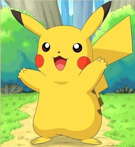 HI! Pokemon Vs Digimon, Pikachu Funny, Pikachu Drawing, Pokemon Costumes, Pokemon Photo, Pokemon Starters, Pikachu Art, Pokemon Craft, Pikachu Wallpaper