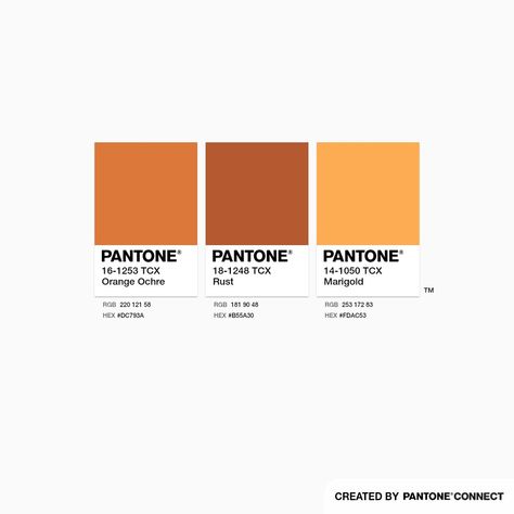 Orange Ochre, Rust & Marigold Pantone Rust Orange, Marigold Color Palette, Pantone Fall, Pantone Color Chart, Marigold Yellow, Color Board, Therapy Office, Colors Palette, Palette Color