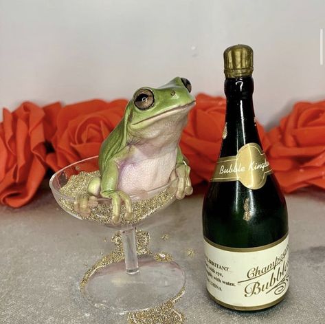 Frog Cocktail, Fairy Frog Aesthetic, Frog Drinking Tea, Frog Things, Frog Meme Funny, Frog Memes Hilarious, Energy Art, Funny Frogs, Frog Art