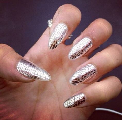 Silver Snake Print Nails Crocodile Nails, French Nails Glitter, Snake Skin Nails, Tiger Nails, Silver Nail, Nice Nails, Skin Nails, Party Nails, Nail Photos