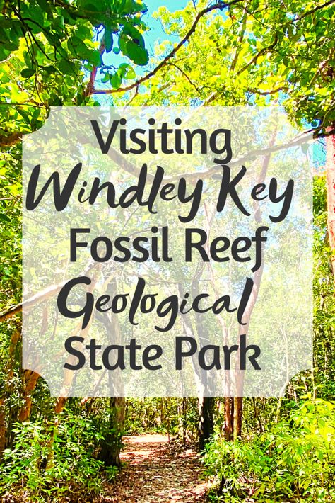 Everything You Need to Know about Windley Key Fossil Reef Geological State Park in Islamorada Key Largo Florida, Key West Vacations, Travel Florida, Florida State Parks, Florida Trip, Hiking Tips, Fun For Kids, Florida Travel, Florida Keys