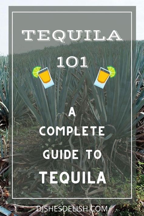 In this tequila 101 guide, we’ll take a deep dive into the history of the spirit, how it’s made, the different types of tequila, and my top recommendations for brands to keep in your home bar. Different Types Of Tequila, Types Of Tequila, Tequila Types, Best Tequila Brands, Dark Liquor, Blue Agave Plant, Double Chin Exercises, Tequila Tasting, Chin Exercises