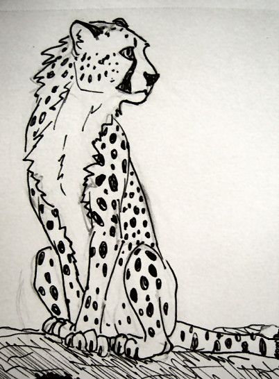 cheetah sketch by Deception-Betrayed.deviantart.com on @deviantART How To Draw A Cheetah, Cheetah Images, Cheetah Line Drawing, Cheetah Drawing Sketches, Cheetah Sketch, Cheetah Anatomy Drawing, Cheetah Cartoon, Cheetah Laying Down Drawing, King Cheetah