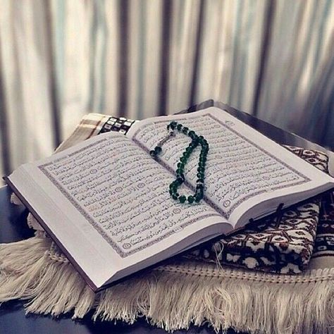 Quran Sharif, Quran Wallpaper, Quran Pak, Quran Book, Coran Islam, Online Quran, Happy Thanksgiving Quotes, Learn Quran, Islamic Girl