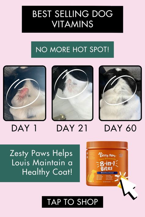 Dog hot spot showing progress of disappearing through the use of vitamins. Supplements For Skin, Supplements For Dogs, Peanut Butter For Dogs, Dog Vitamins, Pet Tips, Health Plus, Glucosamine Chondroitin, Vitamins And Supplements, Pet Cleaning