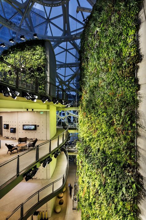 Amazon Spheres, Vertical Green Wall, Dome Structure, Green Facade, Future Buildings, Green Architecture, Organic Architecture, Facade Architecture, Green Roof