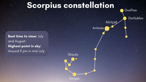 Scorpius constellation: Facts about the Scorpion | Space Scorpius Constellation, Constellations In The Sky, School Grades, Zodiac Constellations, Star Sky, Reference Images, Bright Stars, High Point, Scorpion