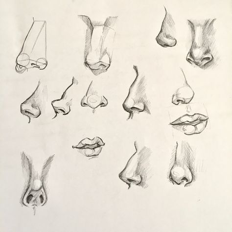 Practicing Noses!👁👄👁 Art Atonamy, Nose References, Manga Nose, Noses Drawing, Anime Nose, Hooked Nose, Nose Drawing, Drawings Ideas, Tutorials Drawing