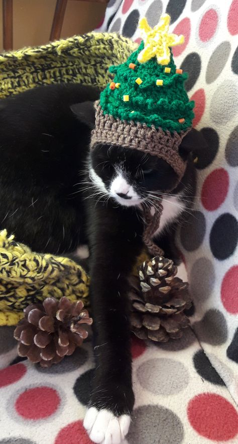 Christmas tree cat hat, Christmas cat hat,hat for cats, Christmas dog hat,kittens hat, Christmas Pet hat,Pet hat, by ColmanHandmade on Etsy Cat Beret, Cat Christmas Costumes, Christmas Dog Hat, Hat For Cat, Beret Crochet, Pet Costumes Cat, Crochet Baby Hat Patterns, Pet Christmas, Baby Hat Patterns