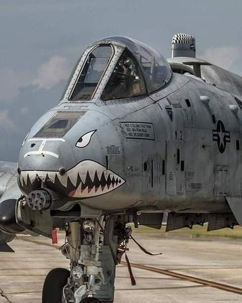 Military Aircraft — Nemesis of tanks -A10 Warthog ! A10 Warthog, Jet Fighter Pilot, A 10 Warthog, F4 Phantom, Airplane Fighter, Military Hardware, Air Fighter, Guy Stuff, Military Jets