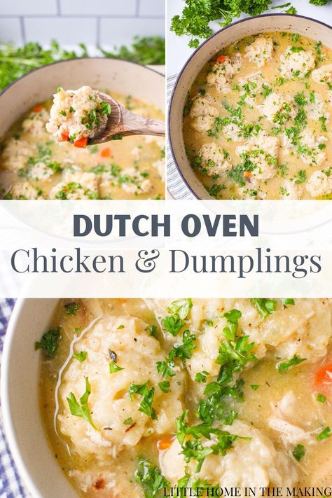 Chicken And Dumplings Using Whole Chicken, Chicken And Dumplings Dutch Oven Easy, Chicken And Dumplings Recipe Dutch Oven, Roasted Chicken And Dumplings, Stewed Whole Chicken Recipes, Chicken And Dumplings Whole Chicken, Stewed Chicken And Dumplings, Whole Chicken Stew, Soup With Whole Chicken