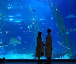 Couple Aquarium Pictures, Abc Dates, Fotbar Nj, Goal Aesthetic, Aquarium Pictures, Amazing Aquariums, World Water Day, Dream Date, Cute Relationship Photos